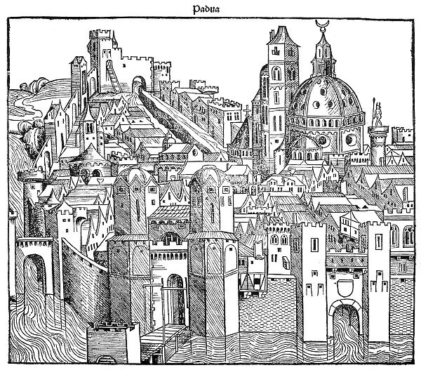 A view of Padua. Woodcut from the Nuremberg Chronicle, 1493