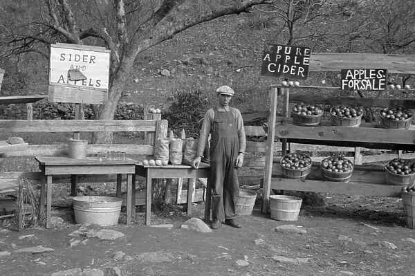 VIRGINIA: APPLE STAND, 1935. A cider and apple stand on the Lee Highway, Shenandoah National Park