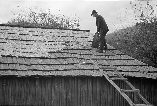 VIRGINIA: DRYING APPLES, 1935. A man drying apples on a roof in a village in Shenandoah