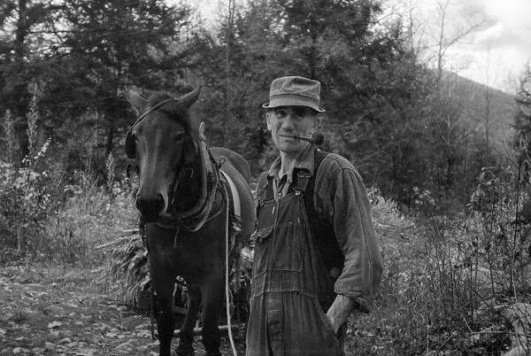 VIRGINIA: MAN & HORSE, 1935. A man with a horse in Nicholson Hollow, Shenandoah National Park