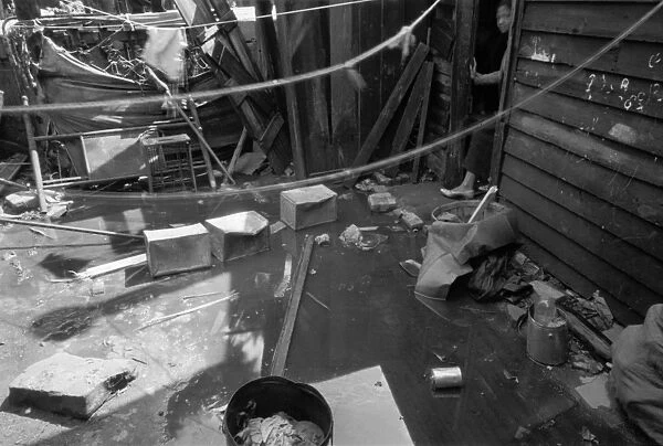 WASHINGTON D. C. : FLOOD. A flooded backyard in a black household in Washington, D
