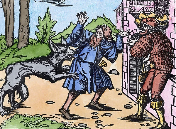 WEREWOLF, 15th CENTURY. Werewolf attacking a man. Woodcut, German, 15th century