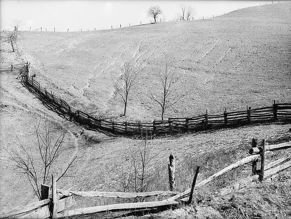 WEST VIRGINIA: EROSION, 1939. Eroded farmland in Mercer County, West Virginia. Photograph