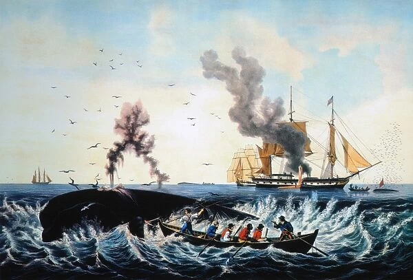 THE WHALE FISHERY, Sperm Whale in a Flurry. Lithograph by Currier & Ives