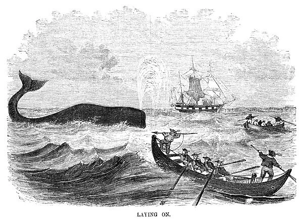 WHALING, 1855. Laying On. American whalers attempt to harpoon a whale. Wood engraving
