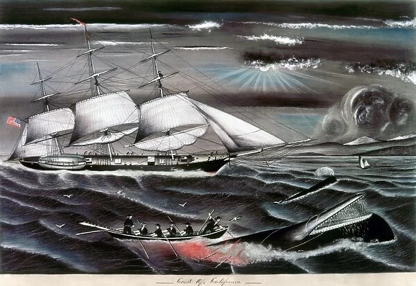 WHALING SHIP, c1860. Whaling Off the Coast of California. Chalk drawing on board by Coleman, a ships mate of the Joseph Grinnel, c1860