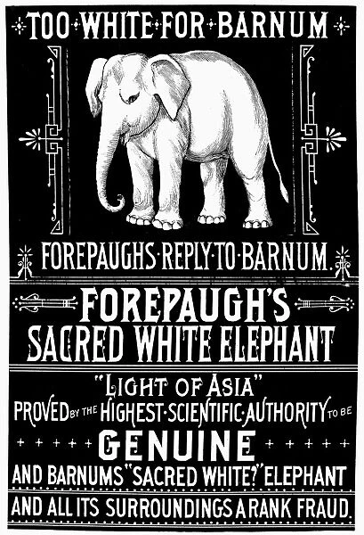WHITE ELEPHANT, c1884. Poster for Adam Forepaughs Circus promoting the Light