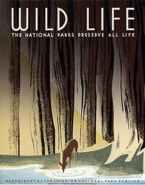 WILD LIFE POSTER, c1940. National Parks Service poster, c1940, promoting wild life conservation in national parks. Silkscreen by Frank S. Nicholson for the Works Progress Administrations Federal Art Project