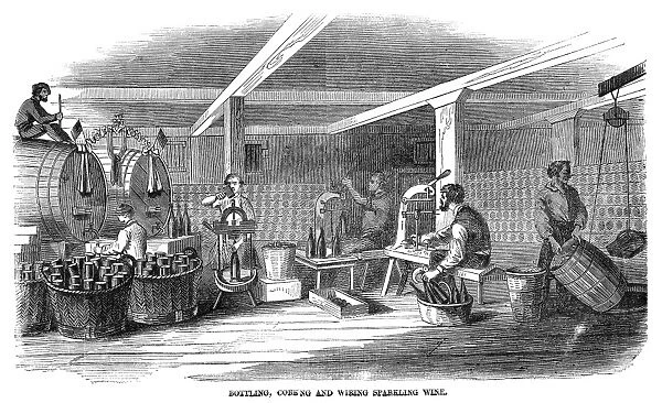 WINEMAKING: BOTTLING, 1866. Bottling, corking and wiring sparkling wine at the