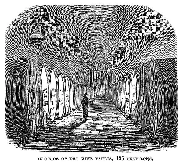 WINEMAKING: VAULT, 1866. Interior of dry wine vaults with barrels of fermenting