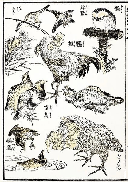 Woodblock print from the Manga od Katsushika Hokusai, 19th century