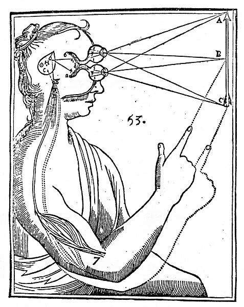 Woodcut from Rene Descartes Treatise of Man, 1664, illustrating his theory that perceptions travel from the eyes to the pineal gland, which then allows humors to pass to the muscles to produce response