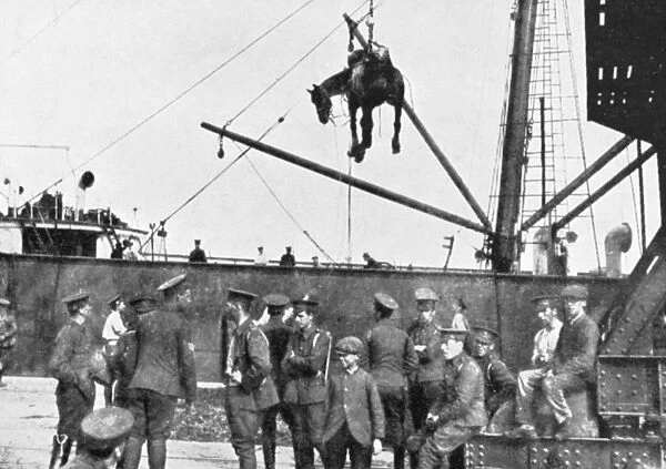 WORLD WAR I: BRITISH SHIP. A horse being unloaded from a British Cavalry transport