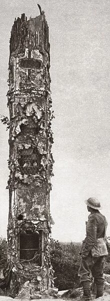 WORLD WAR I: CAMOUFLAGE. A German observation post concealed within a destroyed