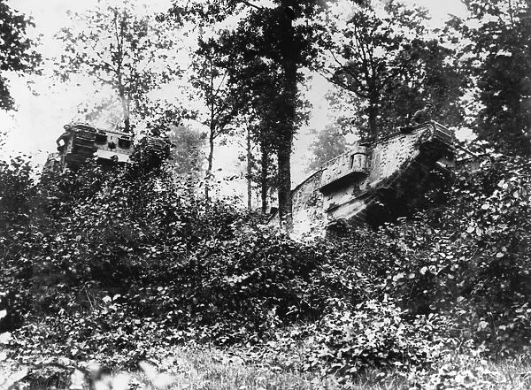 WORLD WAR I: TANKS. Two tanks forcing their way through a forest in Europe during