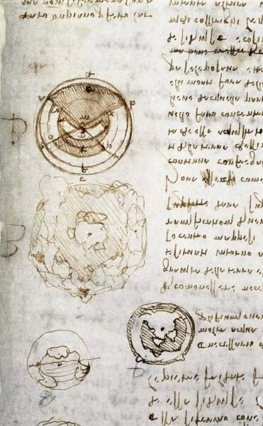 Writing and drawings by Leonardo da Vinci, illustrating the theory that the earth has a core of water, and his ideas on how mountains are formed, from the Codex Leicester, 1506-1510