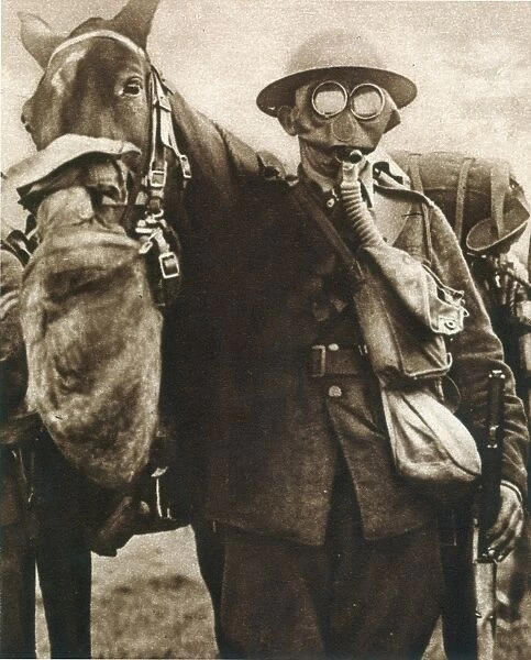 WWI: GAS WARFARE. Both soldiers and horses of the British cavalry utilize gas masks in infested regions