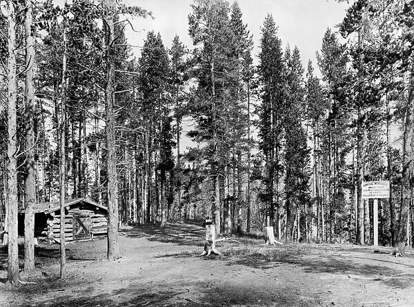 WYOMING: LOG CABIN, c1913. A log cabin in the woods with a marker indicating where U