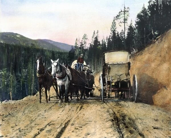 YELLOWSTONE: TRAFFIC. Traffic jam at Yellowstone National Park. Oil over a photograph, c1903, by Frances Benjamin Johnston