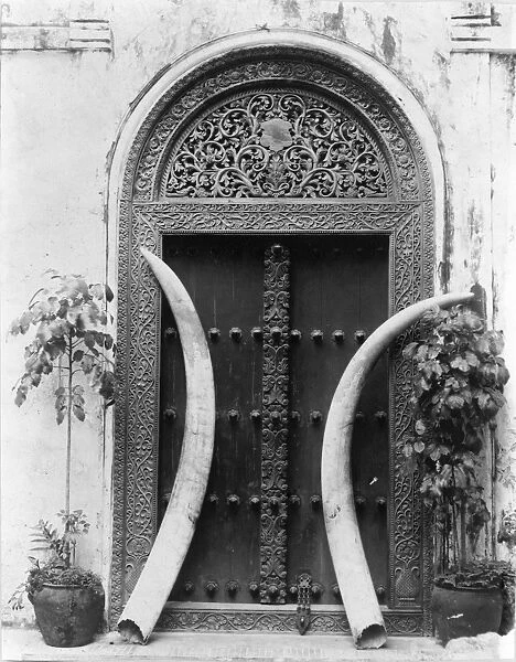 ZANZIBAR: DOORWAY & TUSKS. Carved doorway with ivory tusks. Photographed in Zanzibar