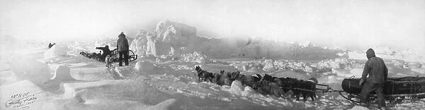 ZIEGLER POLAR EXPEDITION. Dog sled teams of the Ziegler Polar Expedition at the