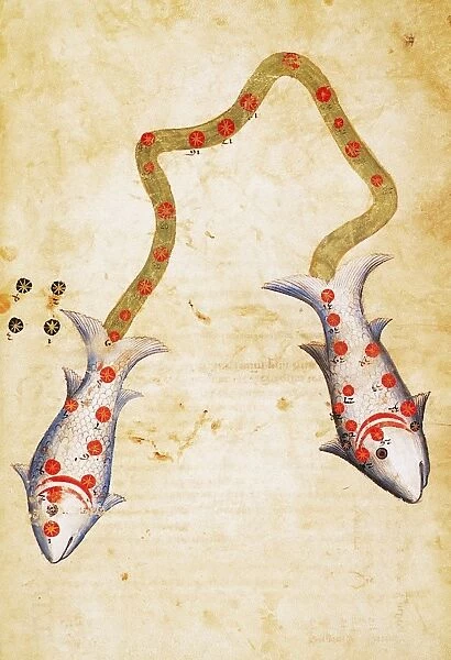 ZODIAC: PISCES, c1350. Manuscript illumination, Polish, mid-14th century, for Al-Sufis Book of Fixed Stars written in Arabic, c964
