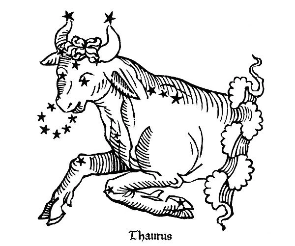 ZODIAC: TAURUS, 1482. Taurus, the bull
