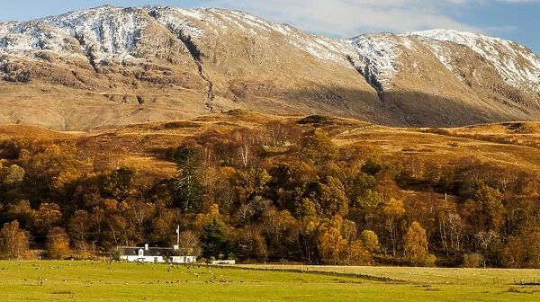 An autumn scene at Cuil Bay, Highland Region, Scotland