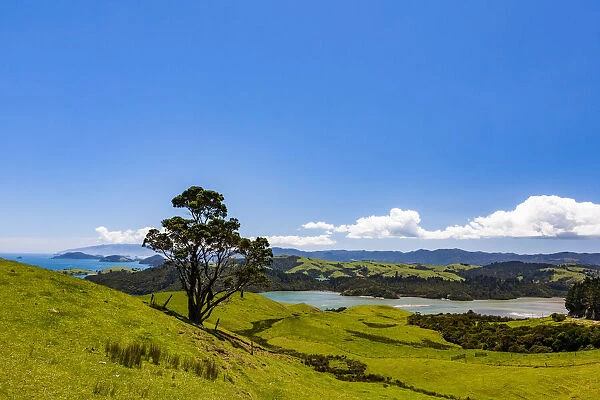 Coastal scenery at Manaia in Waikato, New Zealand
