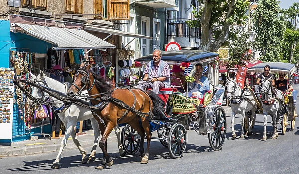A horse carriage carrying visitors on the island of Büyükada, one of the Princes` Islands near Istanbul, Turkey