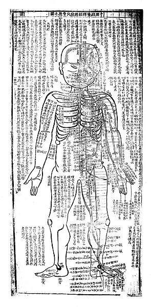Acupuncture chart for front of the body. 19th century Japanese. Wood block