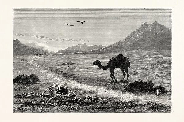 A Camel Left to Die, an Incident in the Afghan War, Afghanistan