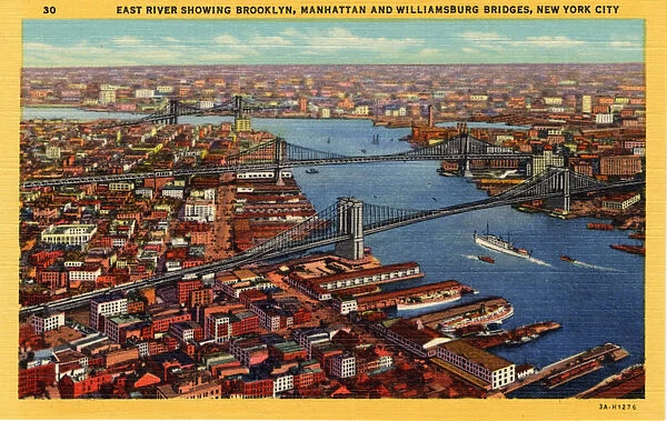 East River Showing Brooklyn, Manhatten and Williamsburg Bridges, New york