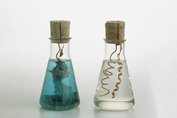 Two glass flasks of copper coils in silver salt solution, before and after chemical reaction, resulting in blue copper nitrate and silver crystals (displacement reaction)
