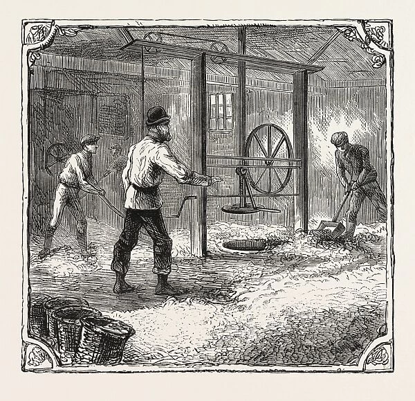 Hops and Hop Pickers, in a Kentish Hop Garden, Kent, England, Filling the Pockets the Press-House