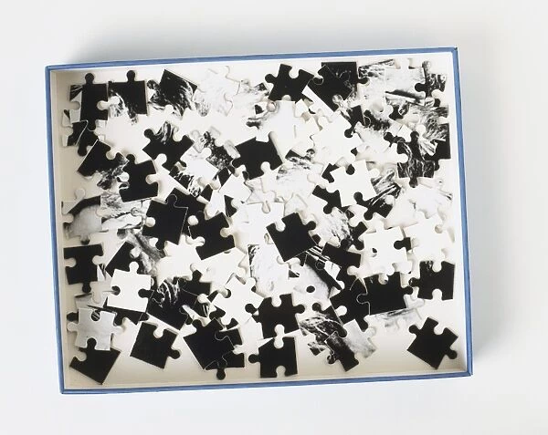 Jigsaw puzzle pieces replicating Albert Einsteins face, view from above