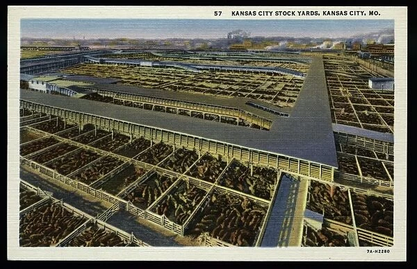 Kansas City Stockyards. ca. 1937, Kansas City, Missouri, USA, 57. KANSAS CITY STOCK YARDS, KANSAS CITY, MO. View of portion of cattle yards looking northwest from Live Stock Exchange Building. An average of 20, 282 head of live stock received at Kansas City Stock Yards every business day for the past twenty years
