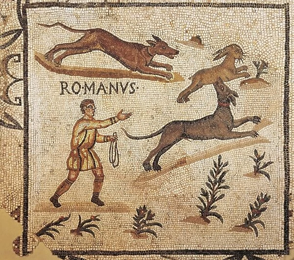 Mosaic floor depicting hare hunting scenes