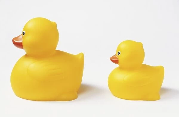 Two plastic yellow ducks