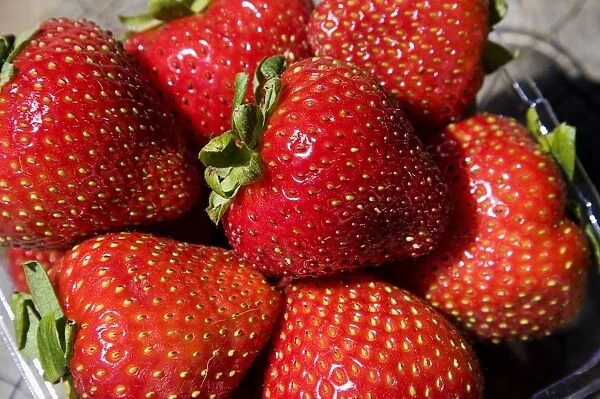Punnet of fresh strawberries, close-up