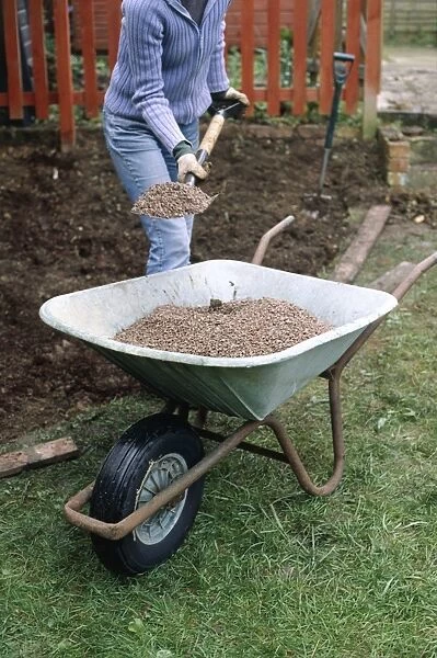 Woman using spade to remove grit from wheelbarrow