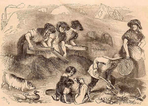 Women and children sifting household refuse in a dust yard in order to salvage anything