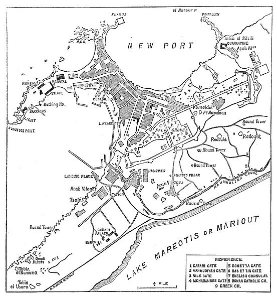 Alexandria map 1878