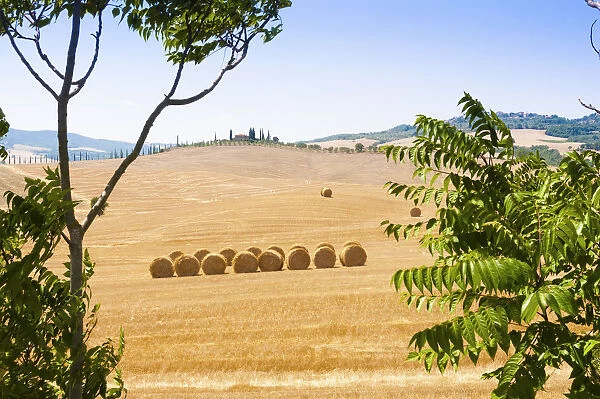 Countryside near Gallina, Siena province, Tuscany, Italy