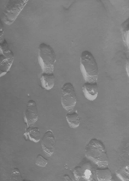Footprints on snow, view from above