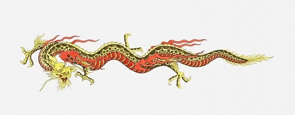 Illustration of Chinese dragon
