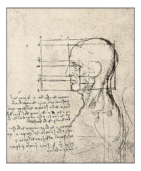 Leonardos sketches and drawings: man head sketch