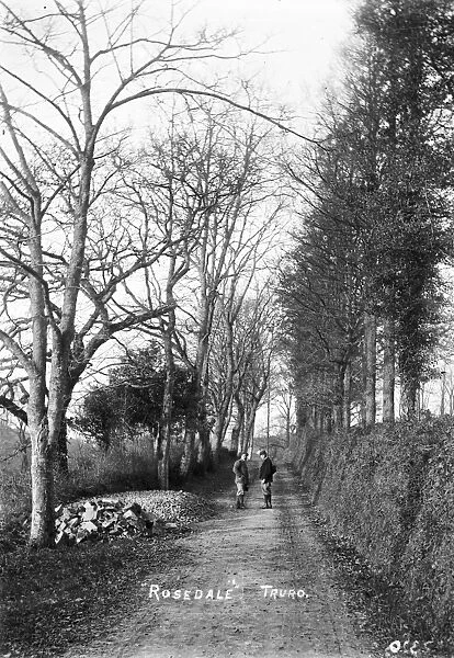Idless Lane, Rosedale, near Idless, Cornwall. Early 1900s