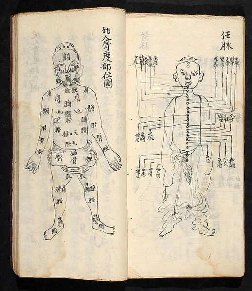 Acupuncture points along the central line of the body, from Jing Guan Qi Zhi