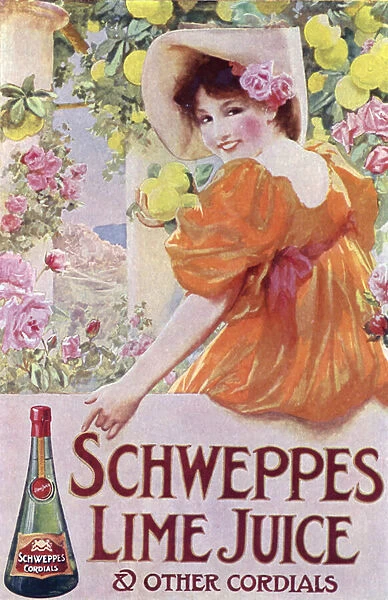 Advertisement for Schweppes Lime Juice and other cordials (colour litho)
